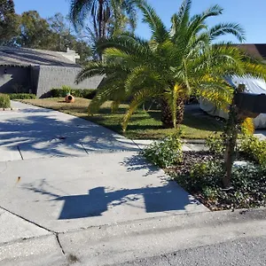 Beautiful Close To Everything , Tampa United States